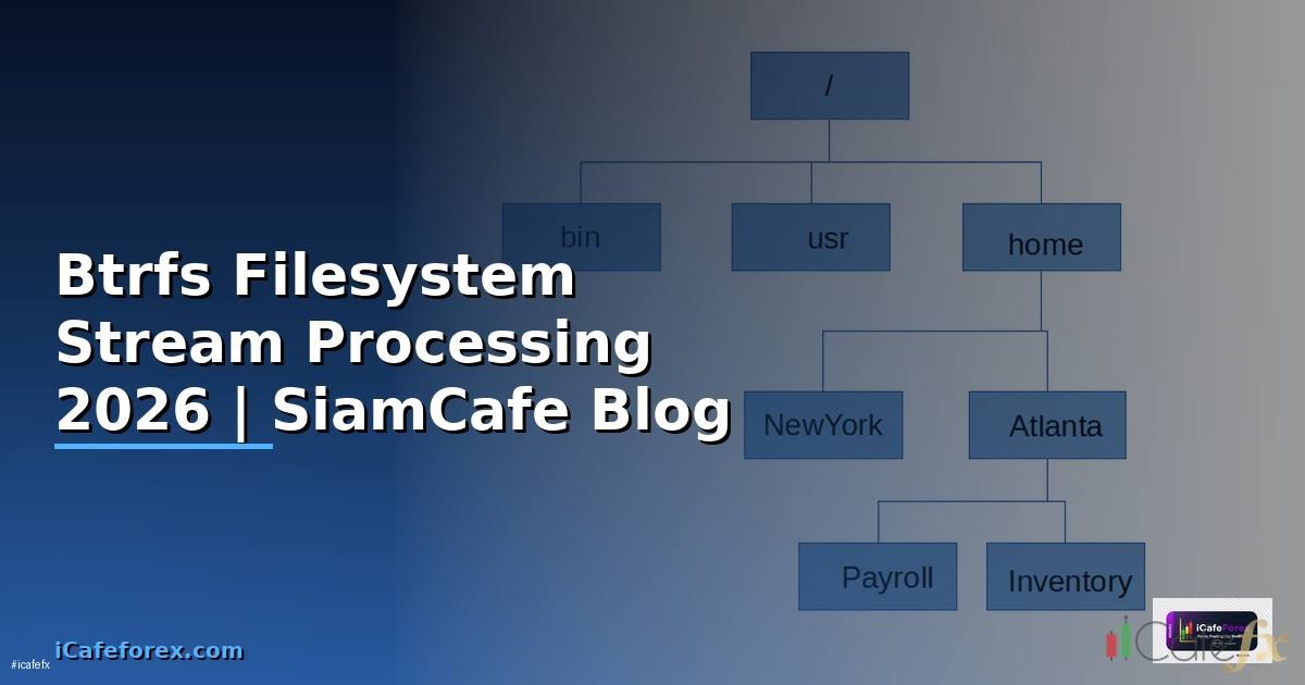 Btrfs Filesystem Stream Processing