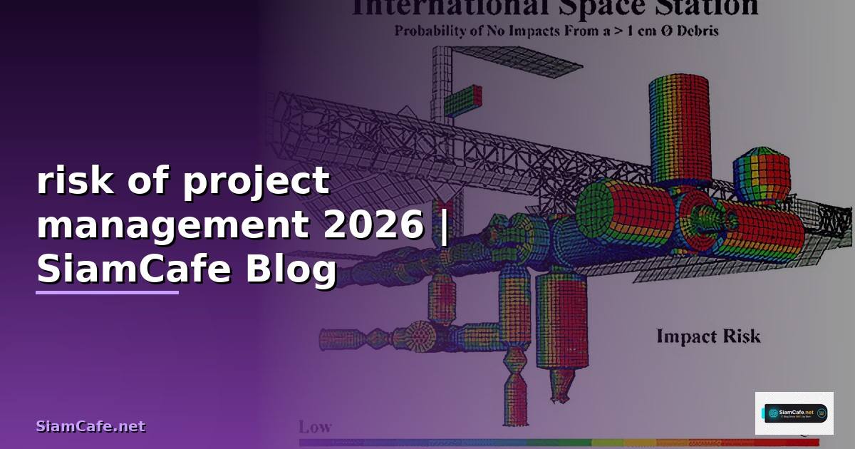 risk of project management