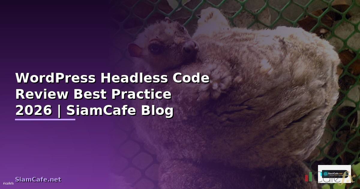 WordPress Headless Code Review Best Practice