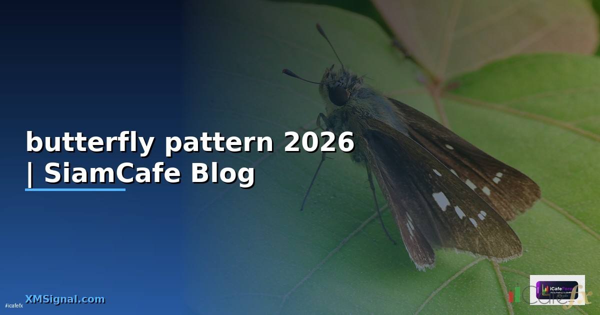 butterfly pattern — ข้อมูลครบถ้วน 2026