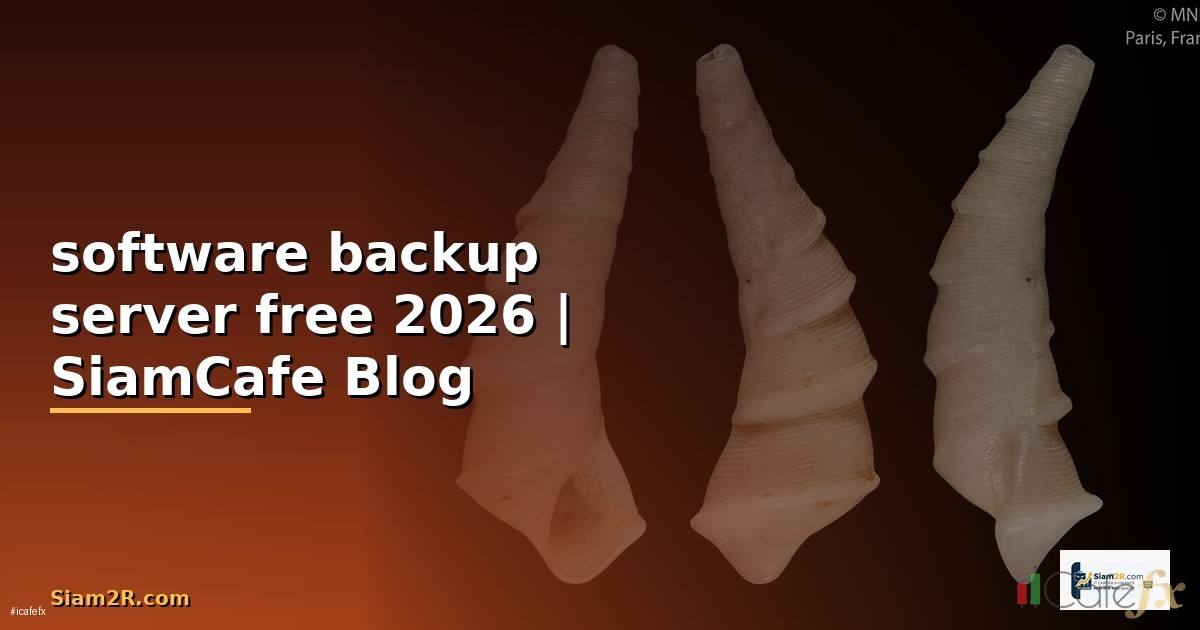 software backup server free