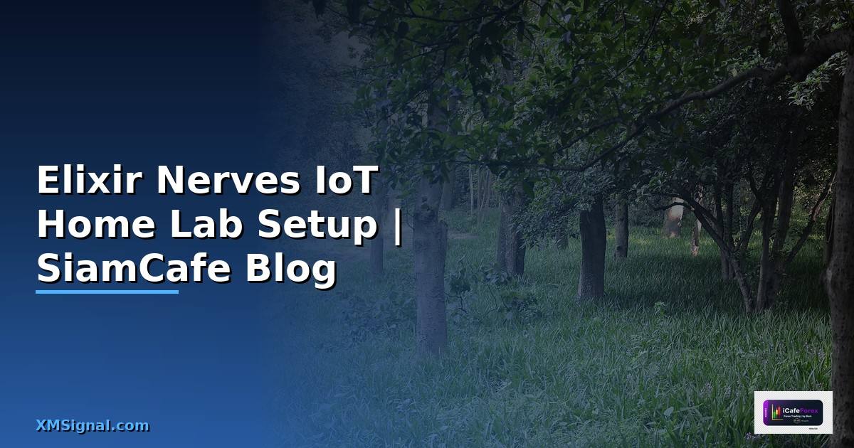 Elixir Nerves IoT Home Lab Setup