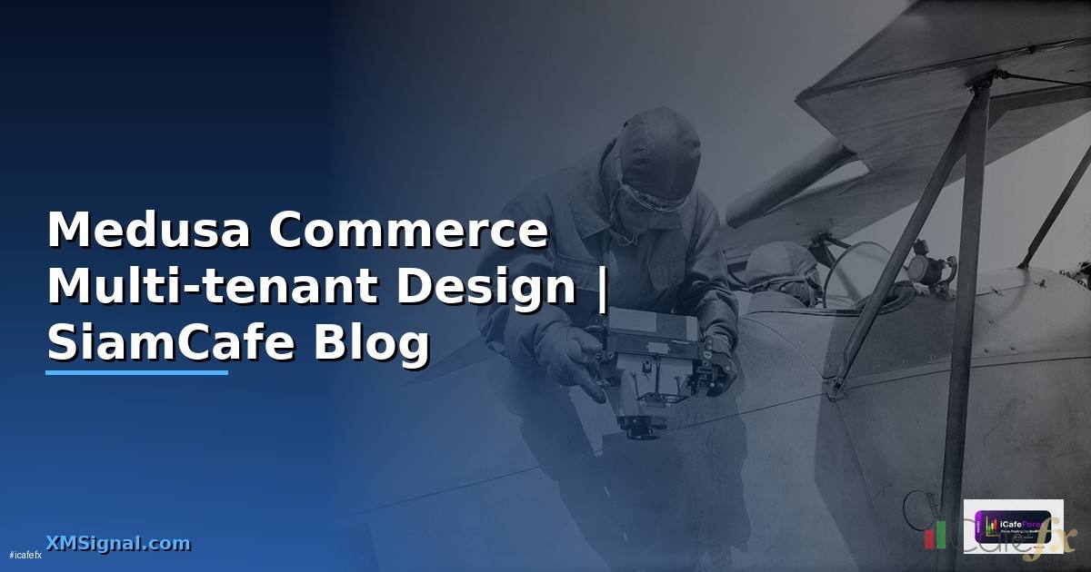 Medusa Commerce Multi-tenant Design