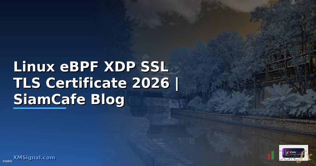 Linux eBPF XDP SSL TLS Certificate — คู่มือฉบับสมบูรณ์ 2026