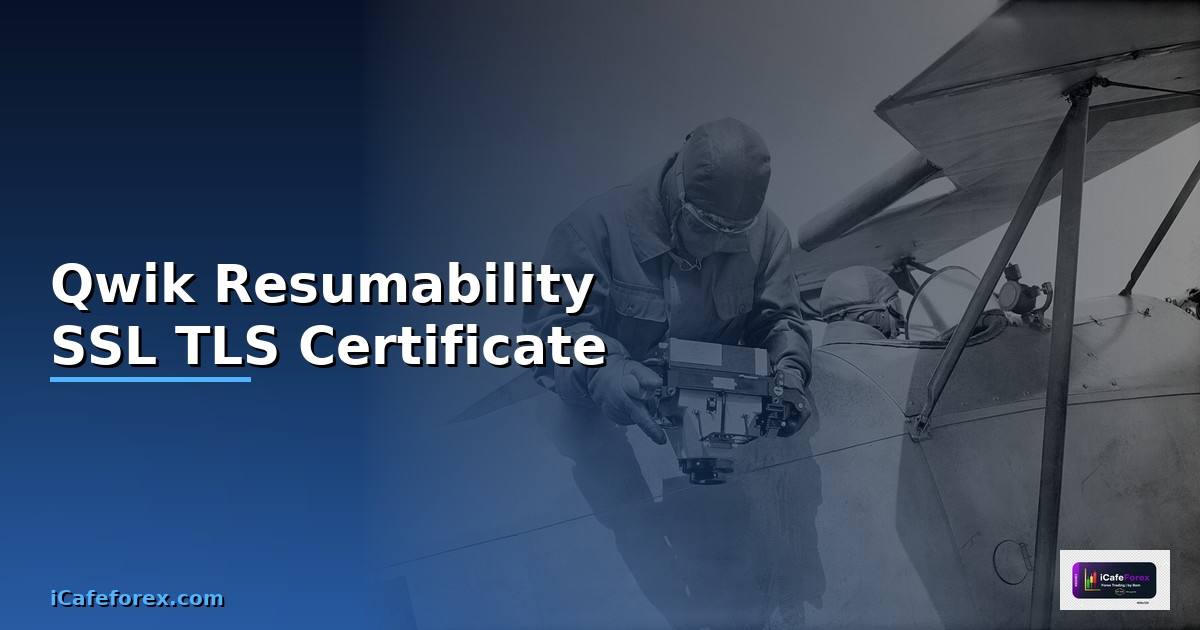 Qwik Resumability SSL TLS Certificate —