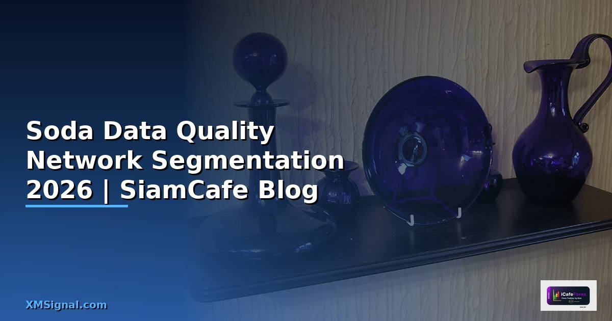Soda Data Quality Network Segmentation