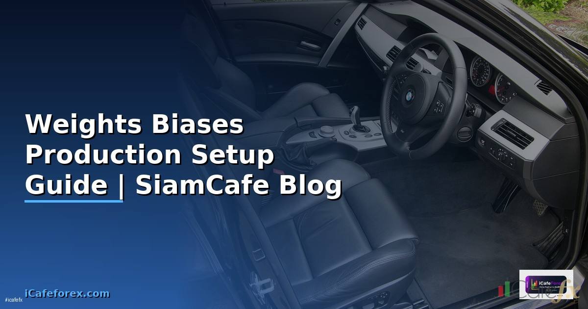 Weights Biases Production Setup Guide