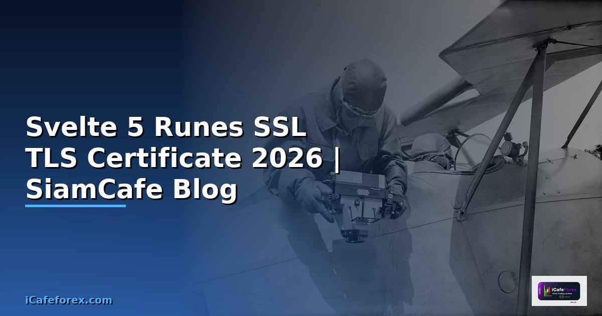 Svelte 5 Runes SSL TLS Certificate