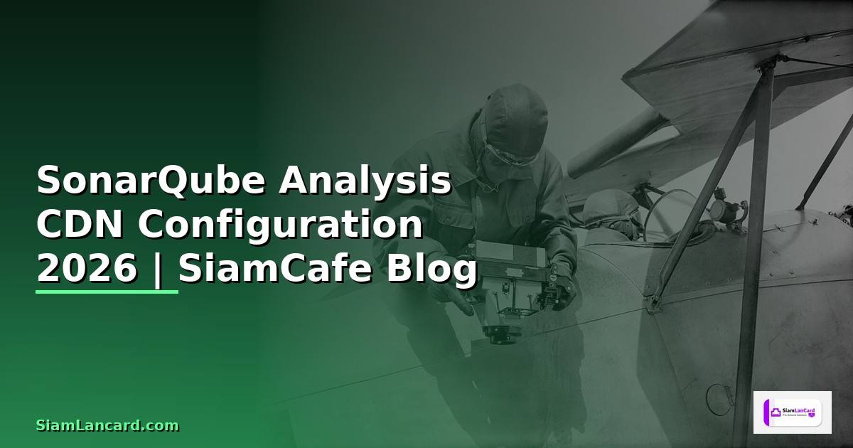 SonarQube Analysis CDN Configuration