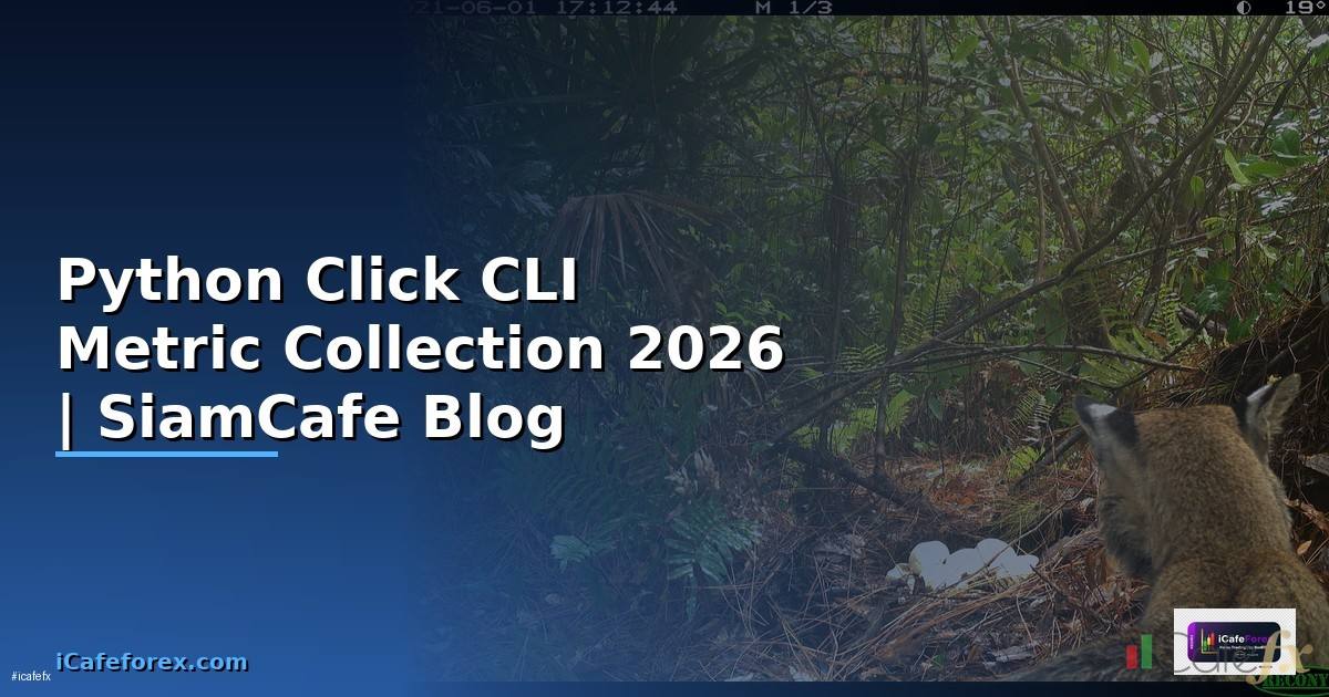 Python Click CLI Metric Collection