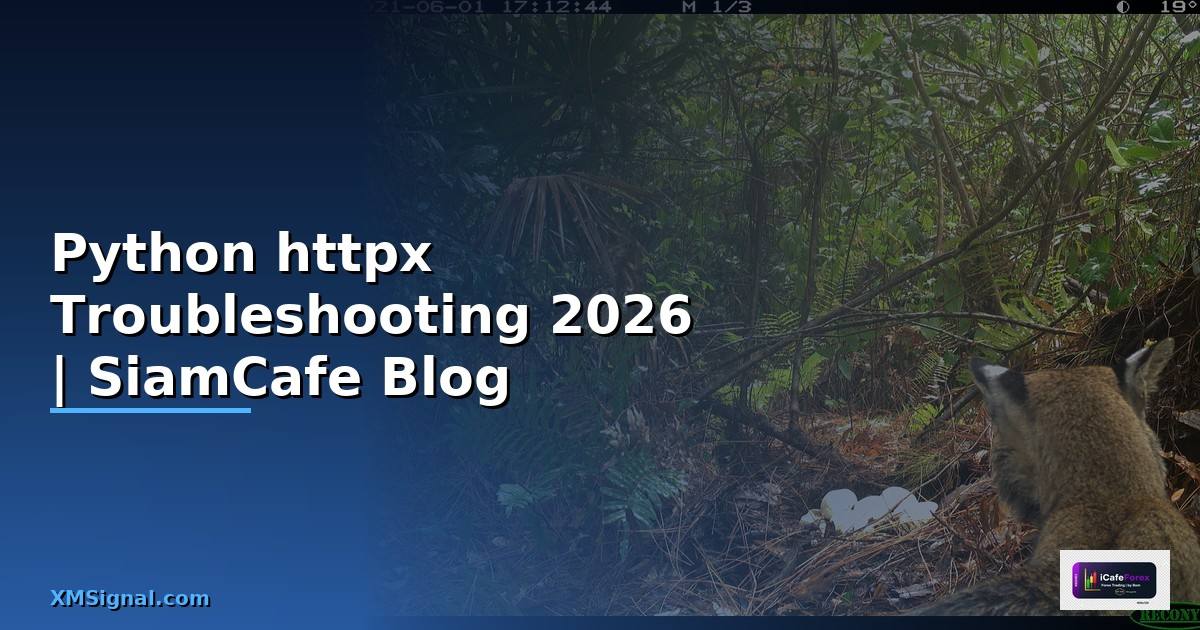 Python httpx Troubleshooting แก้ปัญหา