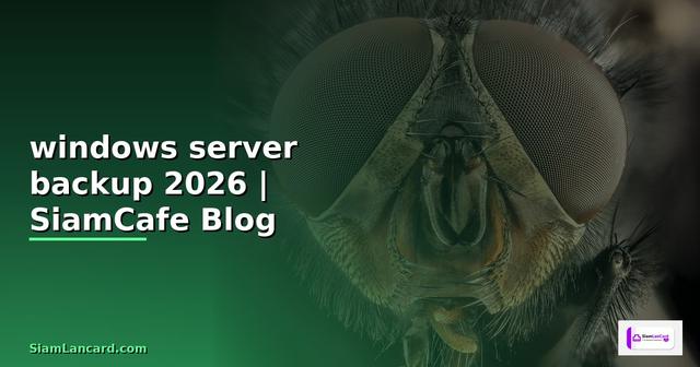 การใช้งาน windows server backup