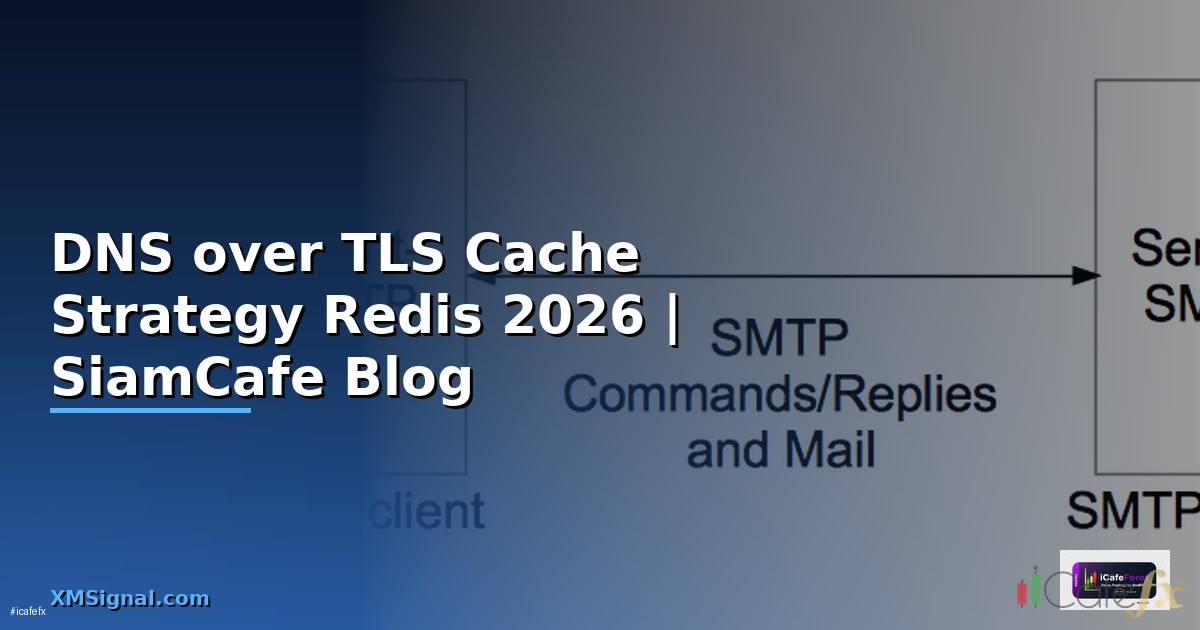 DNS over TLS Cache Strategy Redis