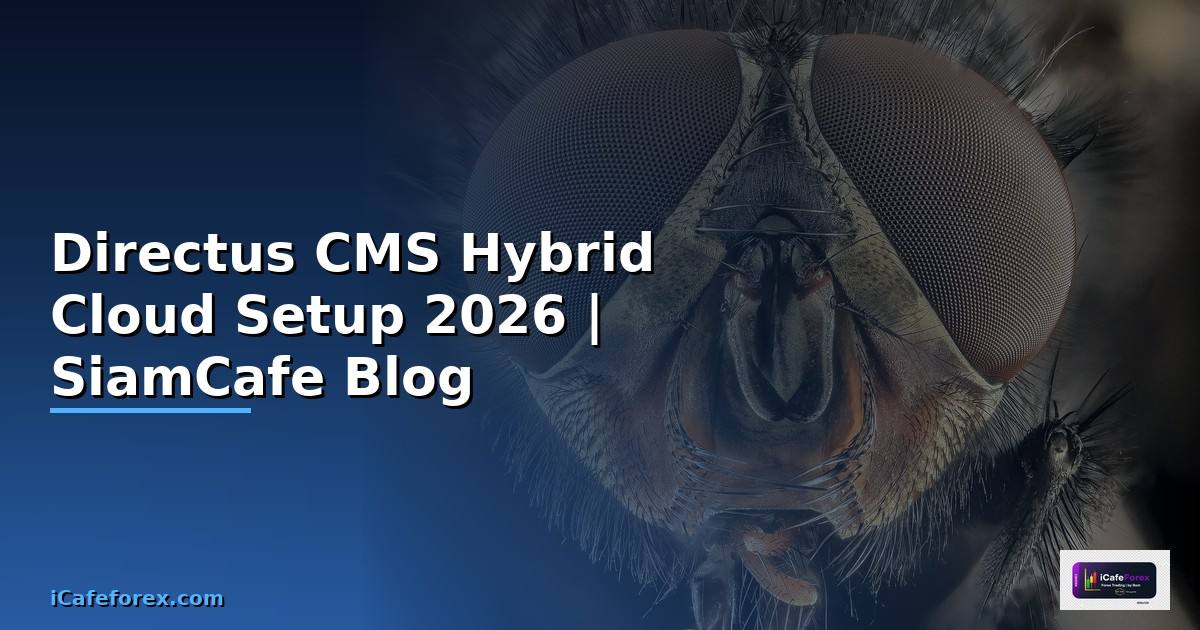 Directus CMS Hybrid Cloud Setup