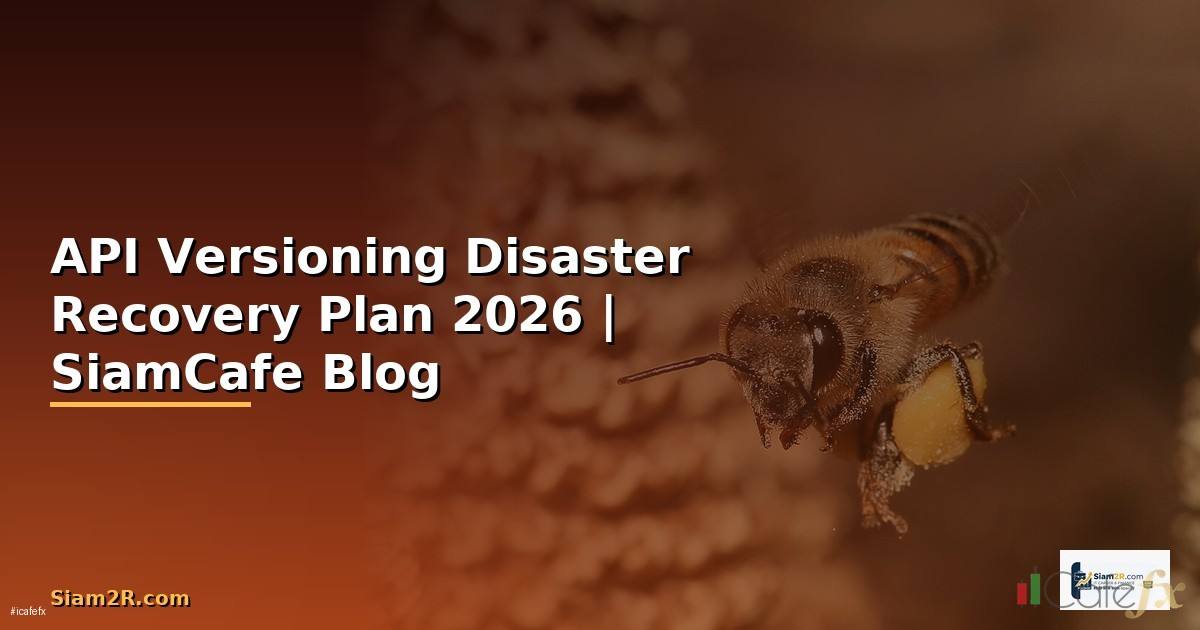 API Versioning Disaster Recovery Plan