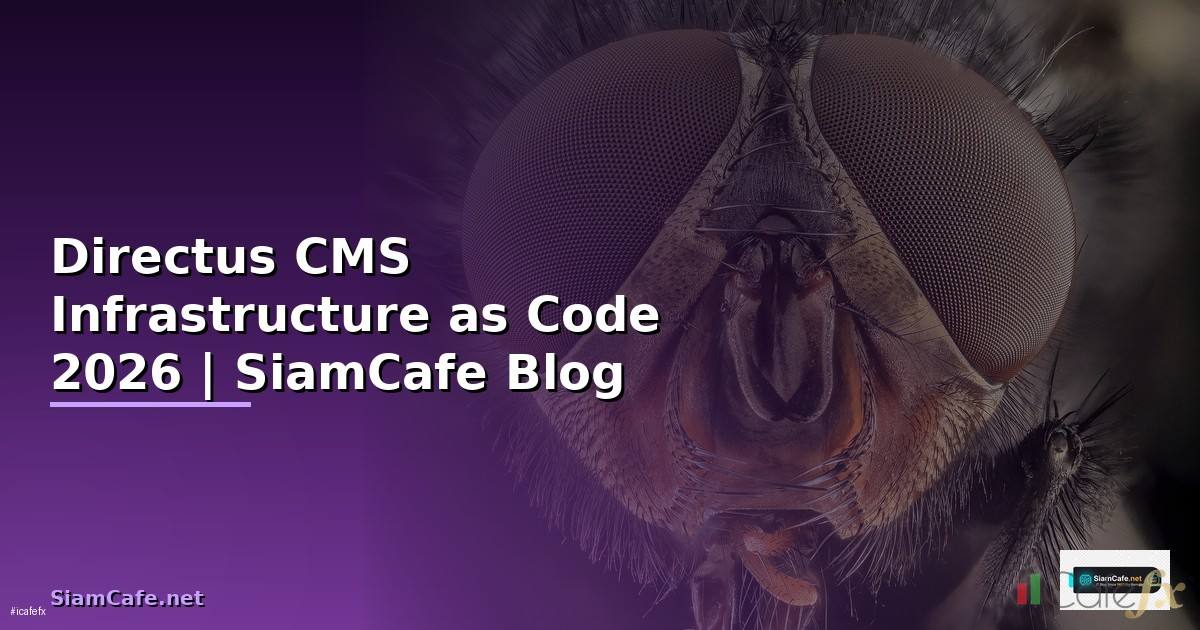 Directus CMS Infrastructure as Code