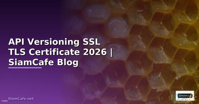 API Versioning SSL TLS Certificate