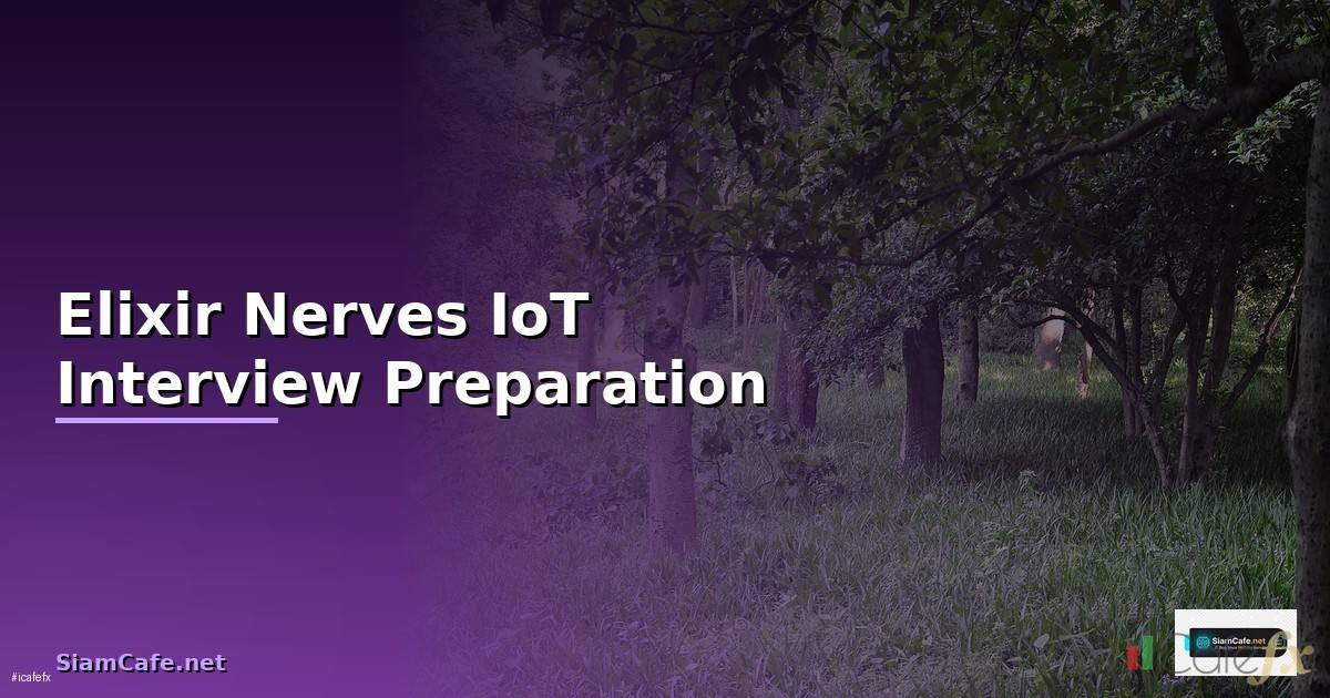 Elixir Nerves IoT Interview Preparation —