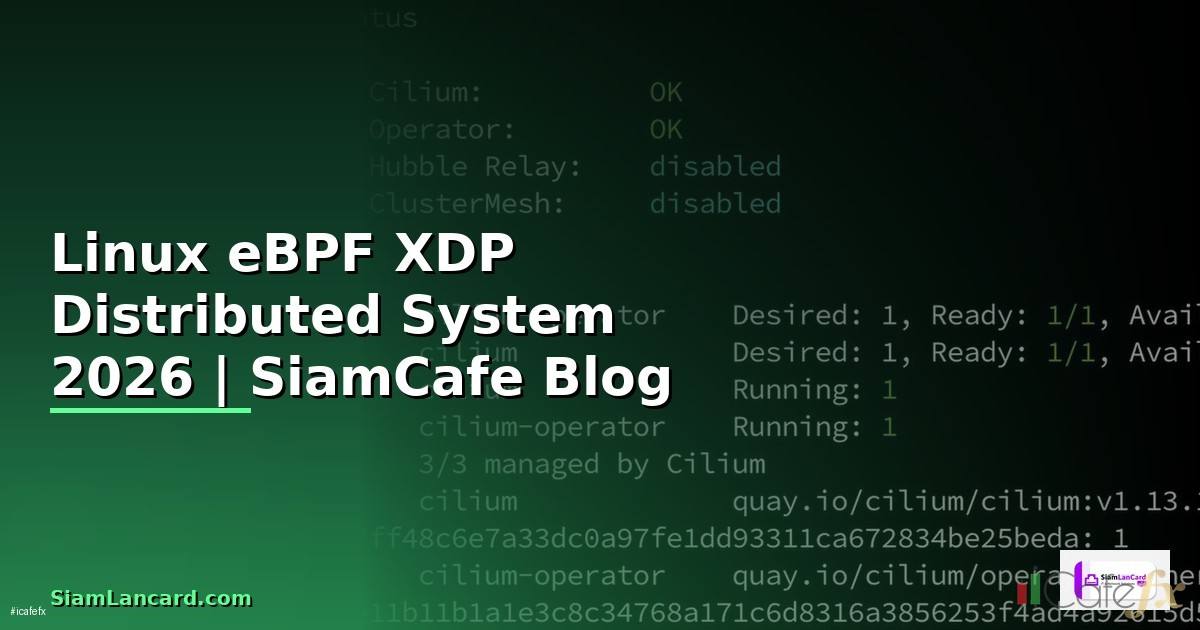 Linux eBPF XDP Distributed System