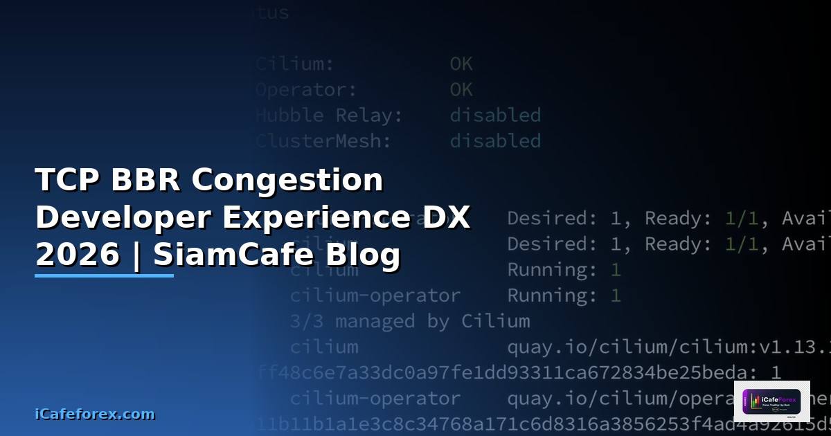 TCP BBR Congestion Developer Experience DX