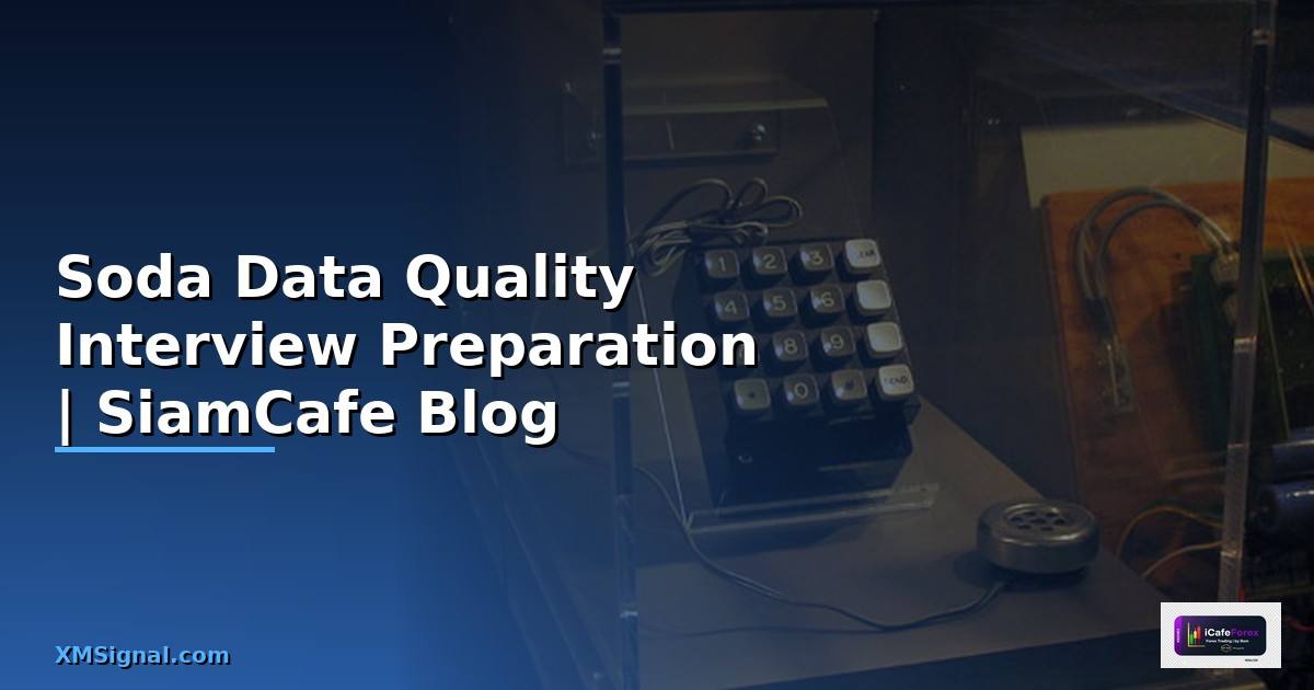 Soda Data Quality Interview Preparation