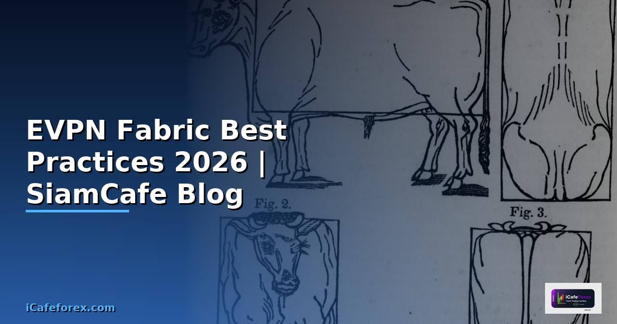 EVPN Fabric Best Practices ที่ต้องรู้ — คู่มือฉบับสมบูรณ์ 2026