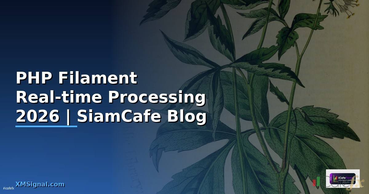 PHP Filament Real-time Processing