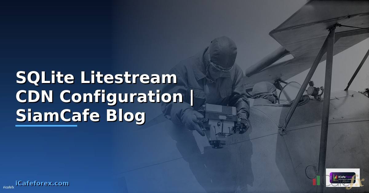 SQLite Litestream CDN Configuration
