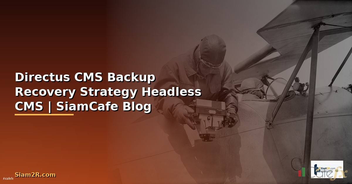 Directus CMS Backup Recovery Strategy —