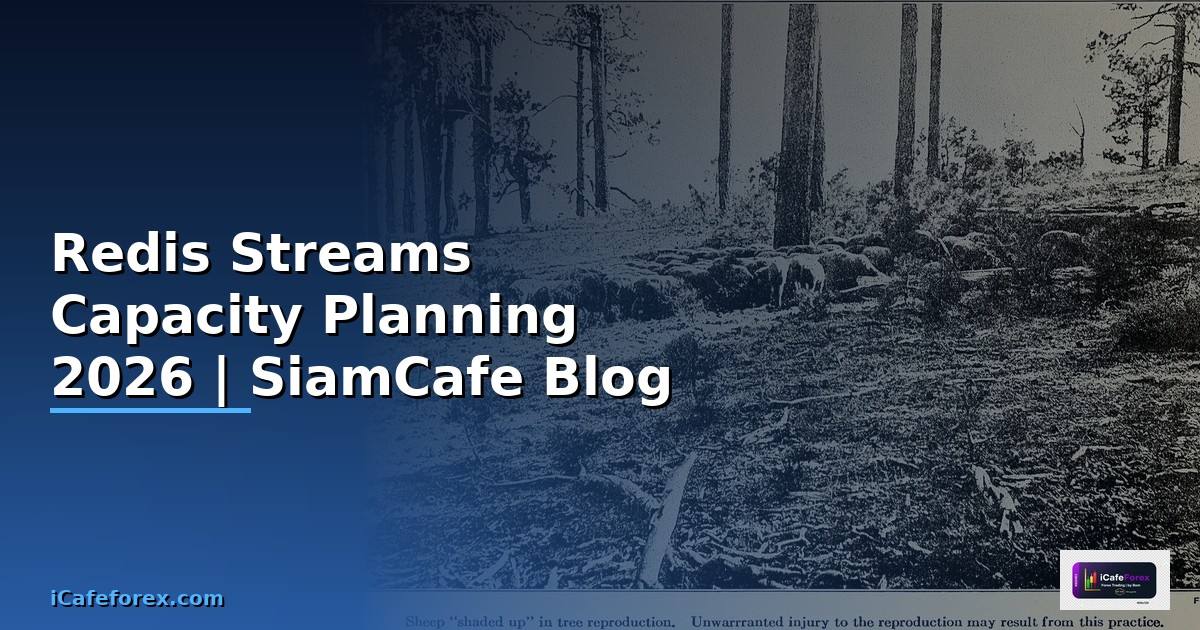 Redis Streams Capacity Planning