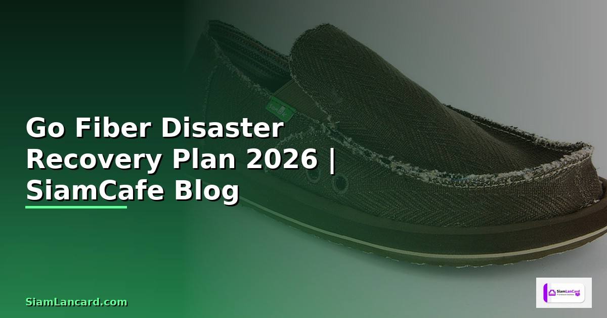 Go Fiber Disaster Recovery Plan