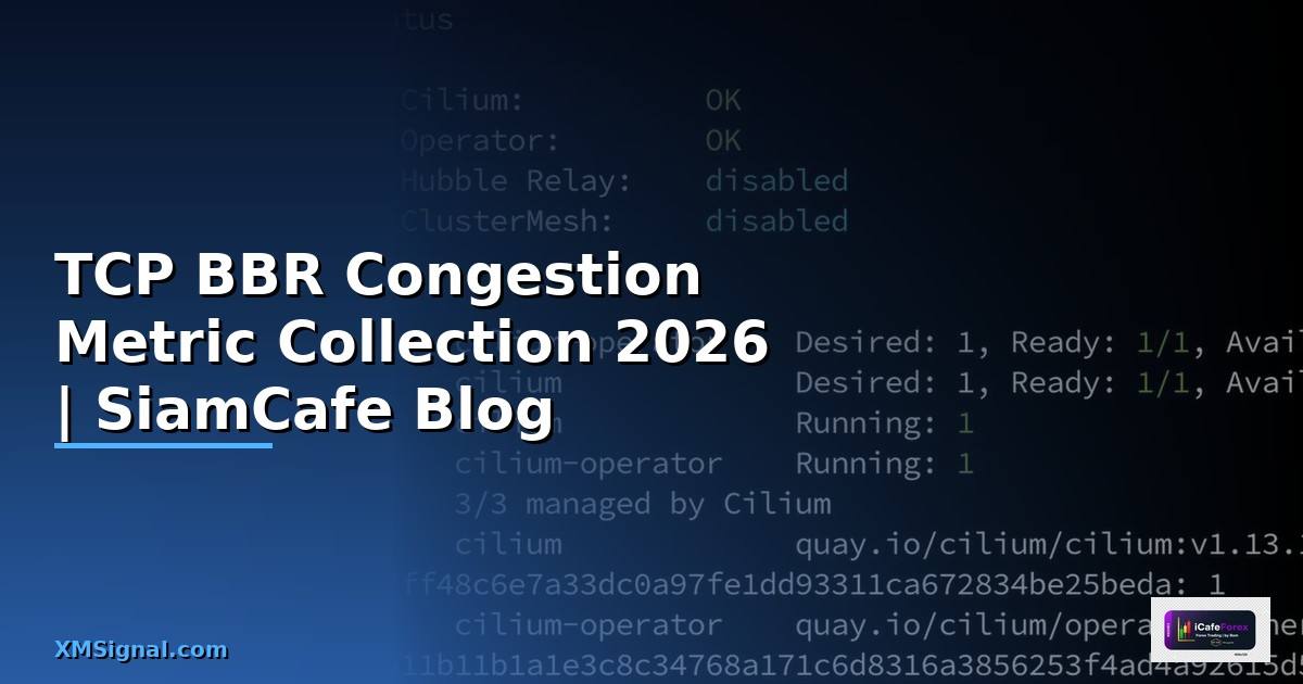 TCP BBR Congestion Metric Collection — คู่มือฉบับสมบูรณ์ 2026