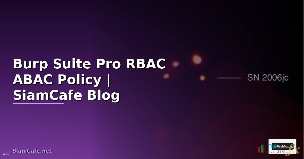Burp Suite Pro RBAC ABAC Policy