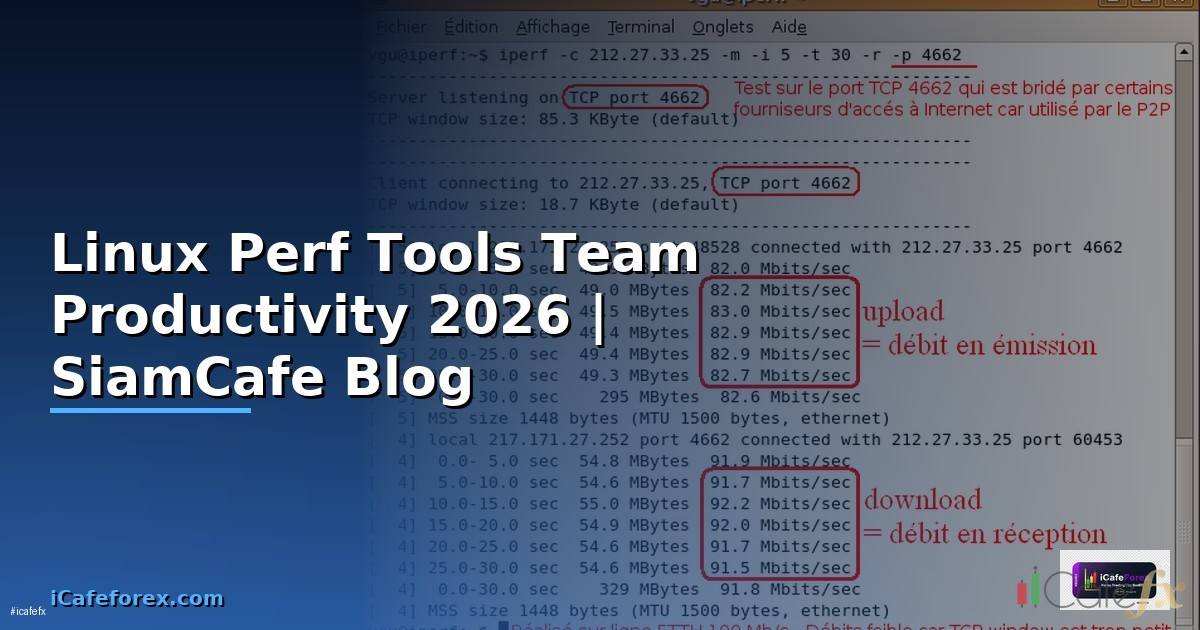 Linux Perf Tools Team Productivity
