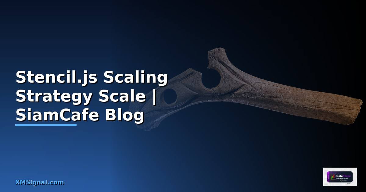 Stencil.js Scaling Strategy วิธี Scale