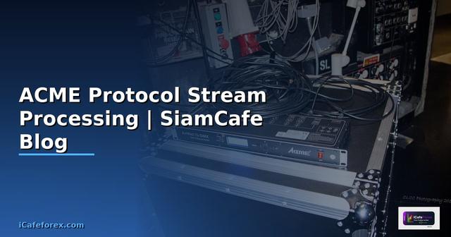 ACME Protocol Stream Processing