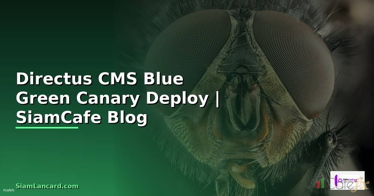 Directus CMS Blue Green Canary Deploy