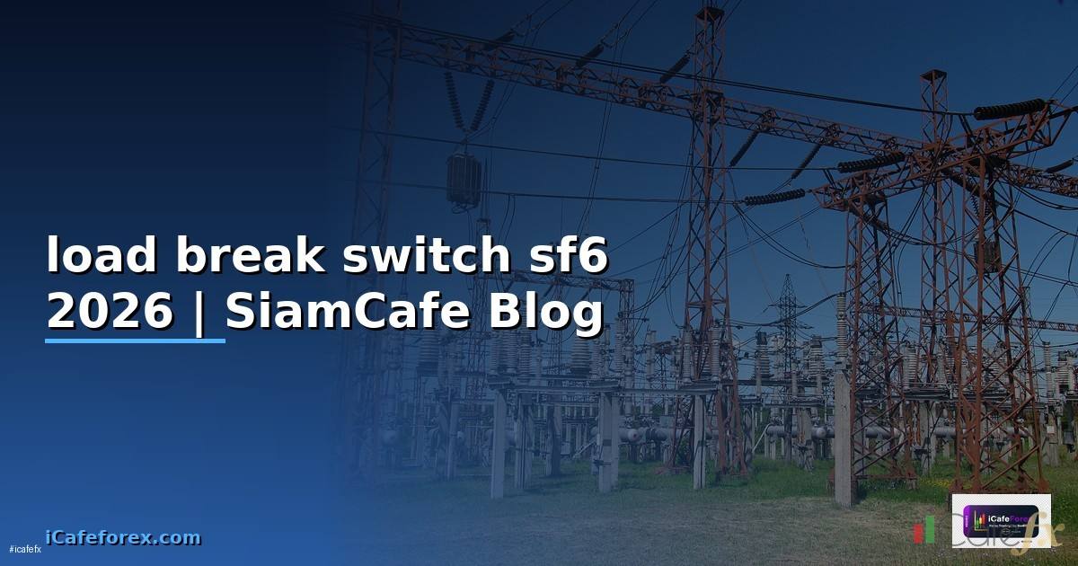 load break switch sf6 คือ