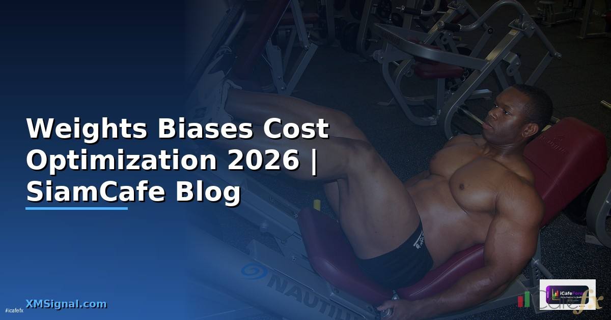 Weights Biases Cost Optimization ลดค่าใช้จ่าย
