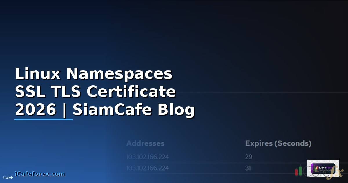 Linux Namespaces SSL TLS Certificate
