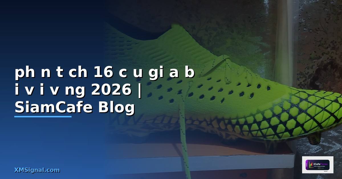 phân tích 16 câu giữa bài vội vàng — คู่มือฉบับสมบูรณ์ 2026