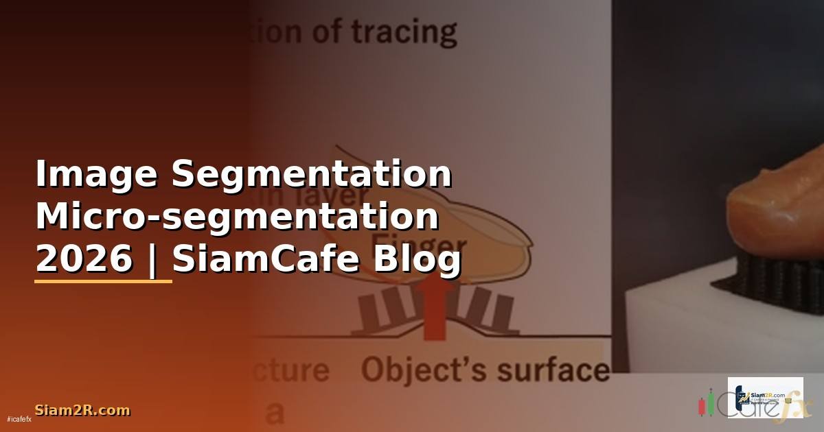 Image Segmentation Micro-segmentation