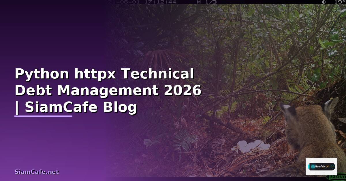 Python httpx Technical Debt Management