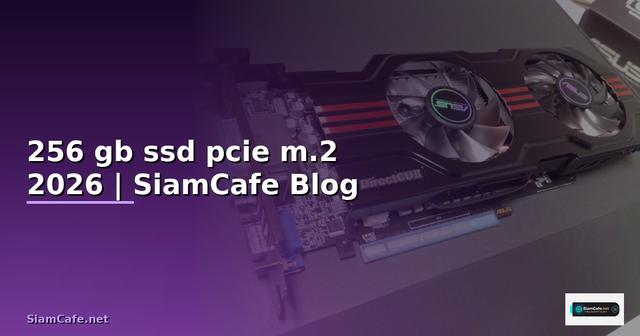 256 gb ssd pcie m.2 คือ