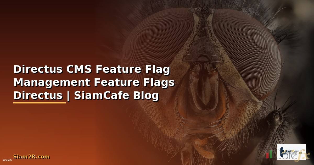 Directus CMS Feature Flag Management — จัดการ