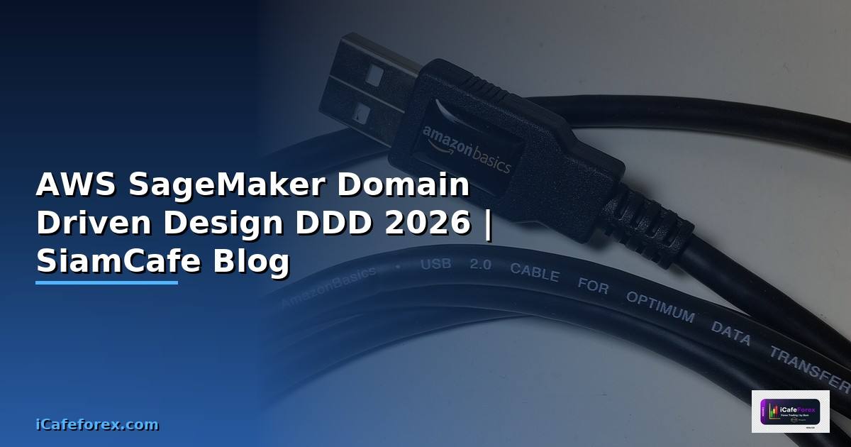AWS SageMaker Domain Driven Design DDD
