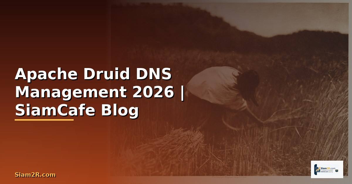 Apache Druid DNS Management