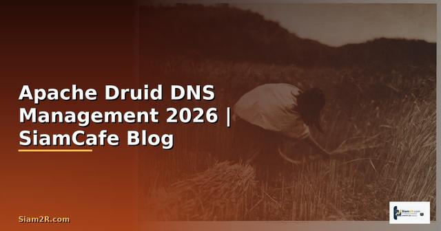 Apache Druid DNS Management
