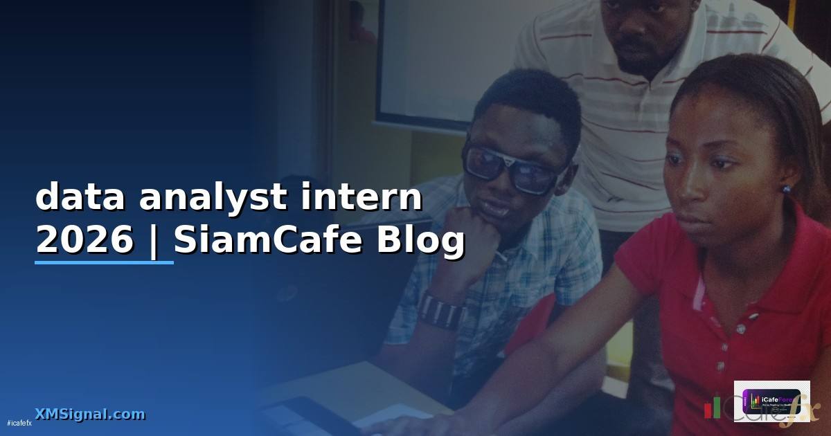 data analyst intern
