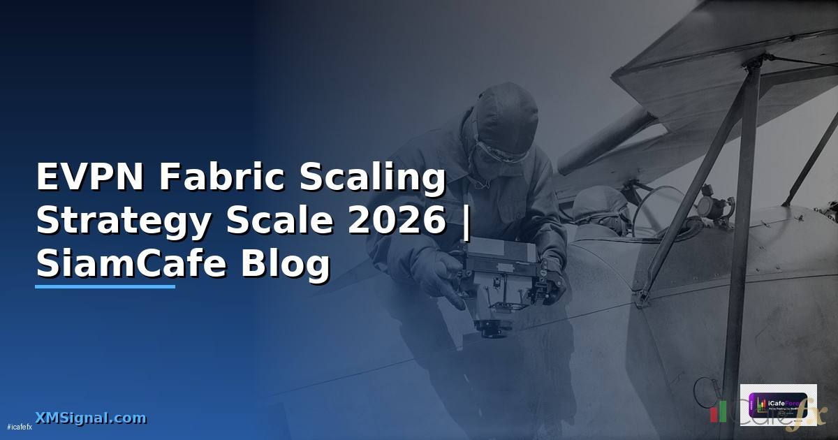 EVPN Fabric Scaling Strategy วิธี Scale